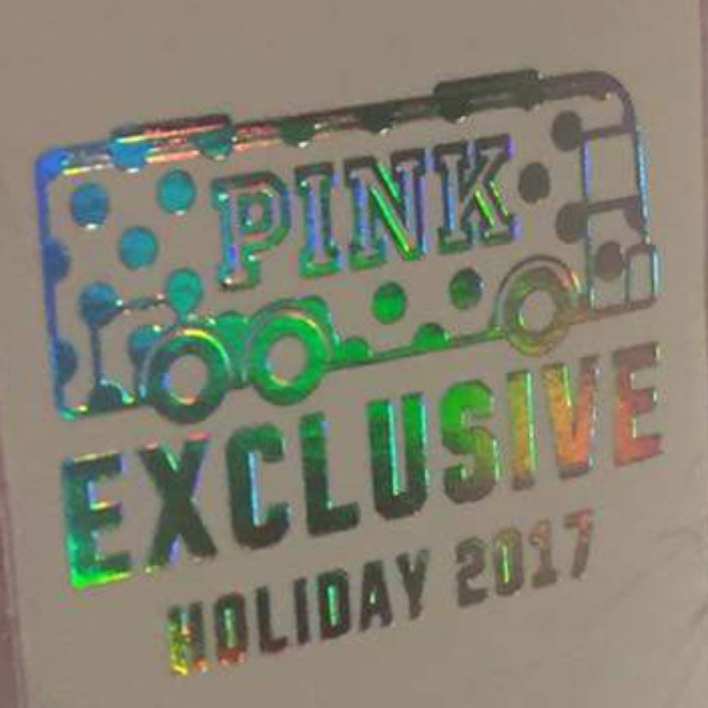 FOUND • VS Pink Bus Dog (read description) - Picture 2 of 2